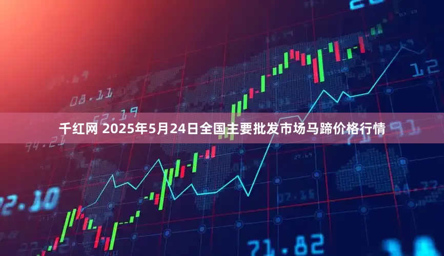 千红网 2025年5月24日全国主要批发市场马蹄价格行情