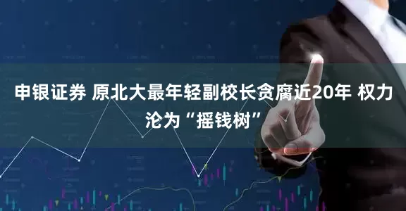 申银证券 原北大最年轻副校长贪腐近20年 权力沦为“摇钱树”